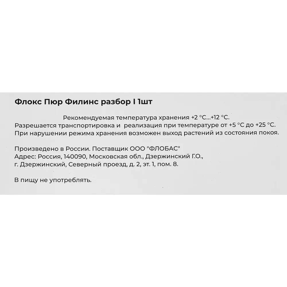 Флокс Пюр Филинс разбор I по цене 577 ₽/шт. купить в Тюмени в  интернет-магазине Леруа Мерлен