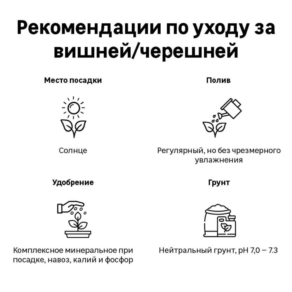 Вишня Шоколадница h220 см ✳️ купить по цене 898 ₽/шт. в Сургуте с доставкой  в интернет-магазине Леруа Мерлен