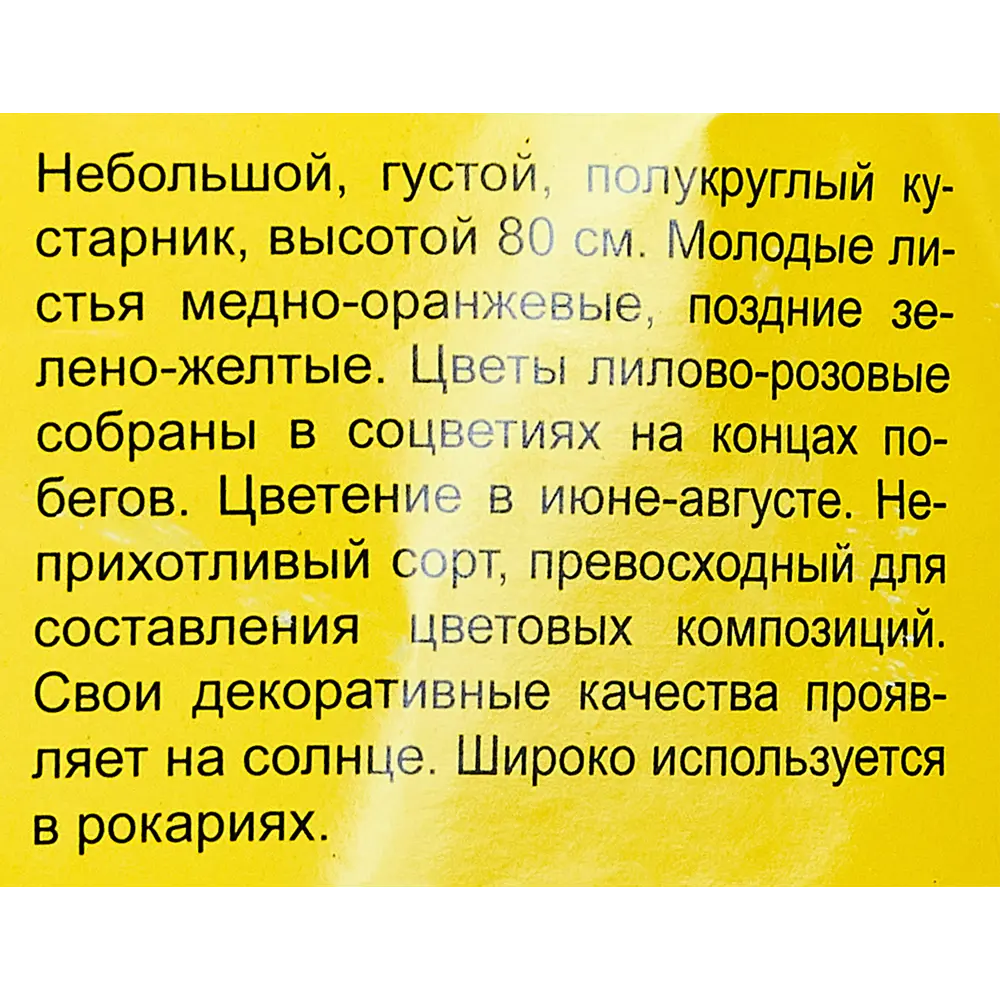 Спирея Голдфлейм h35 см ✳️ купить по цене 355 ₽/шт. в Ярославле с доставкой  в интернет-магазине Леруа Мерлен