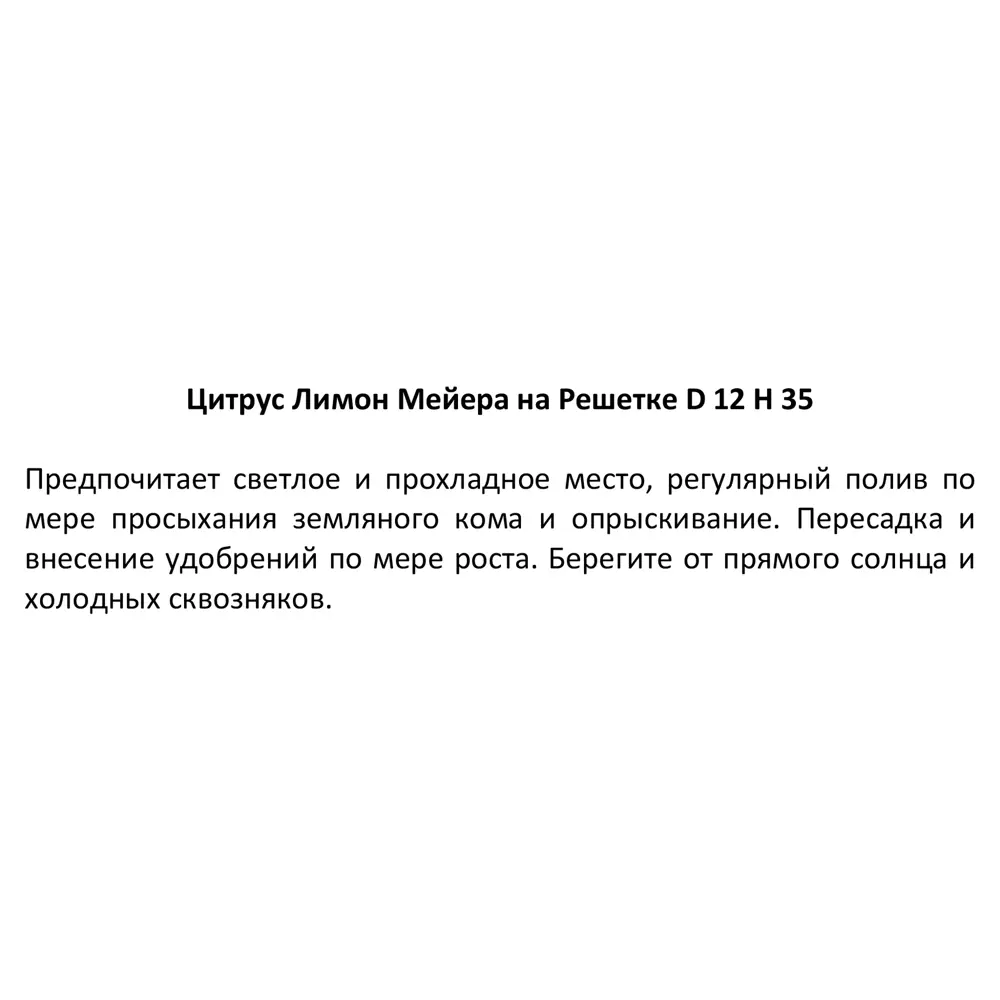 Лимон Мейера ø12 h35 см ✳️ купить по цене 1777 ₽/шт. в Иркутске с доставкой  в интернет-магазине Леруа Мерлен