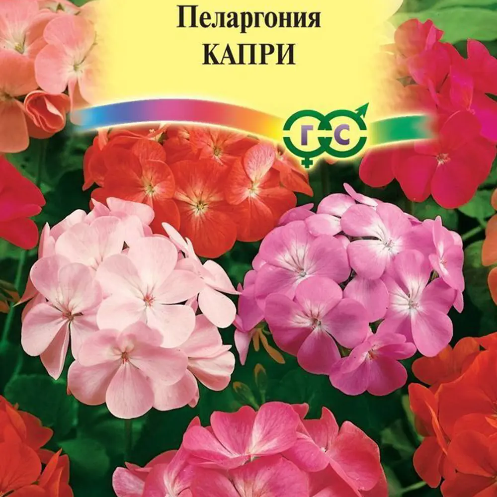 Семена Пеларгония садовая Капри F2 по цене 65 ₽/шт.   в .