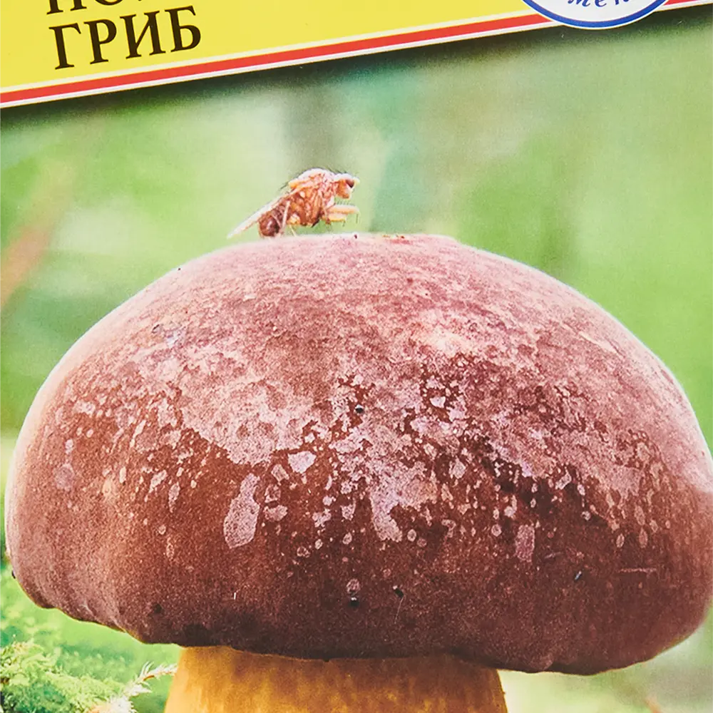 Мицелий грибов ПОИСК в ассортименте 300 г