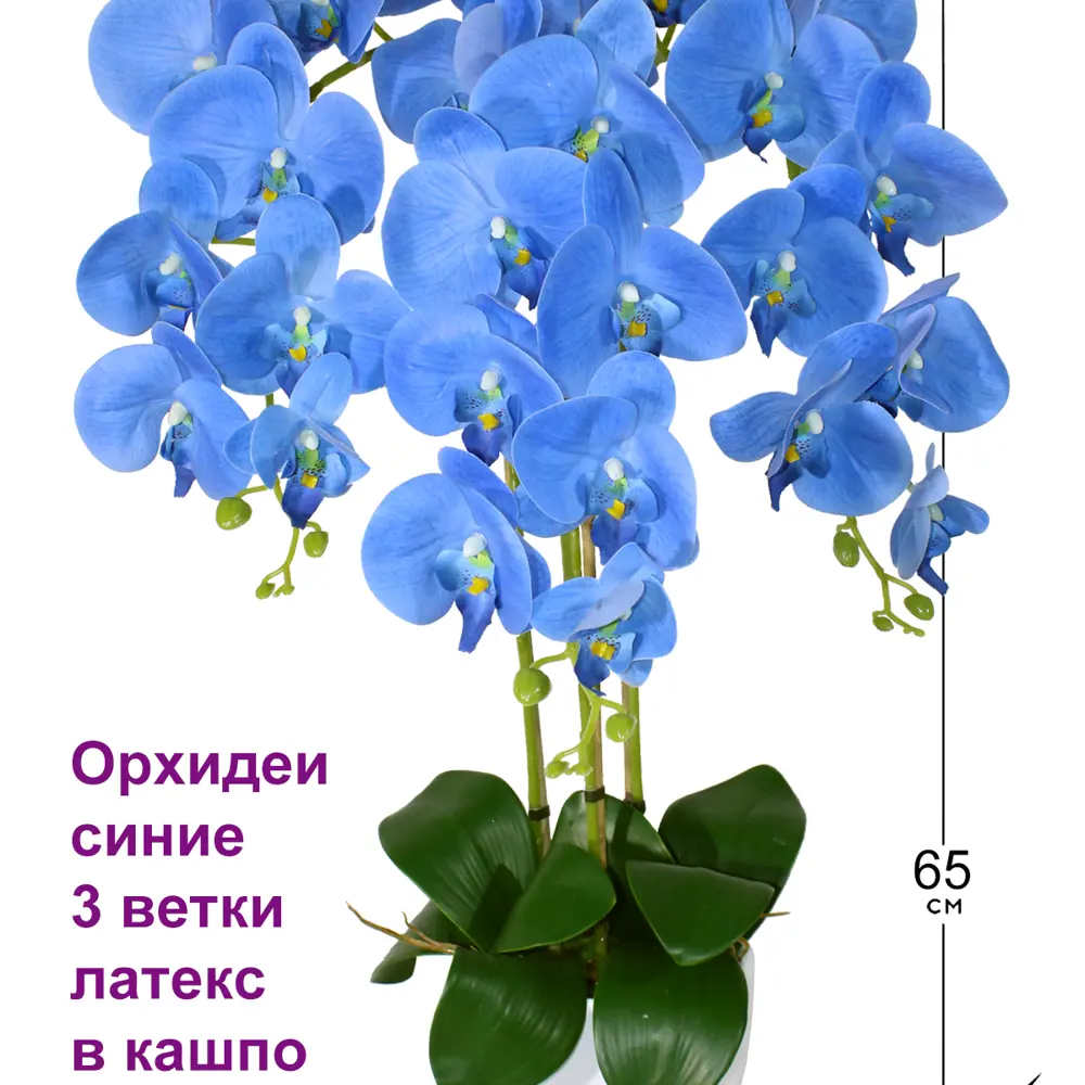 Купить искусственные растения и цветы из керамики, латекса и пластика в Киеве.