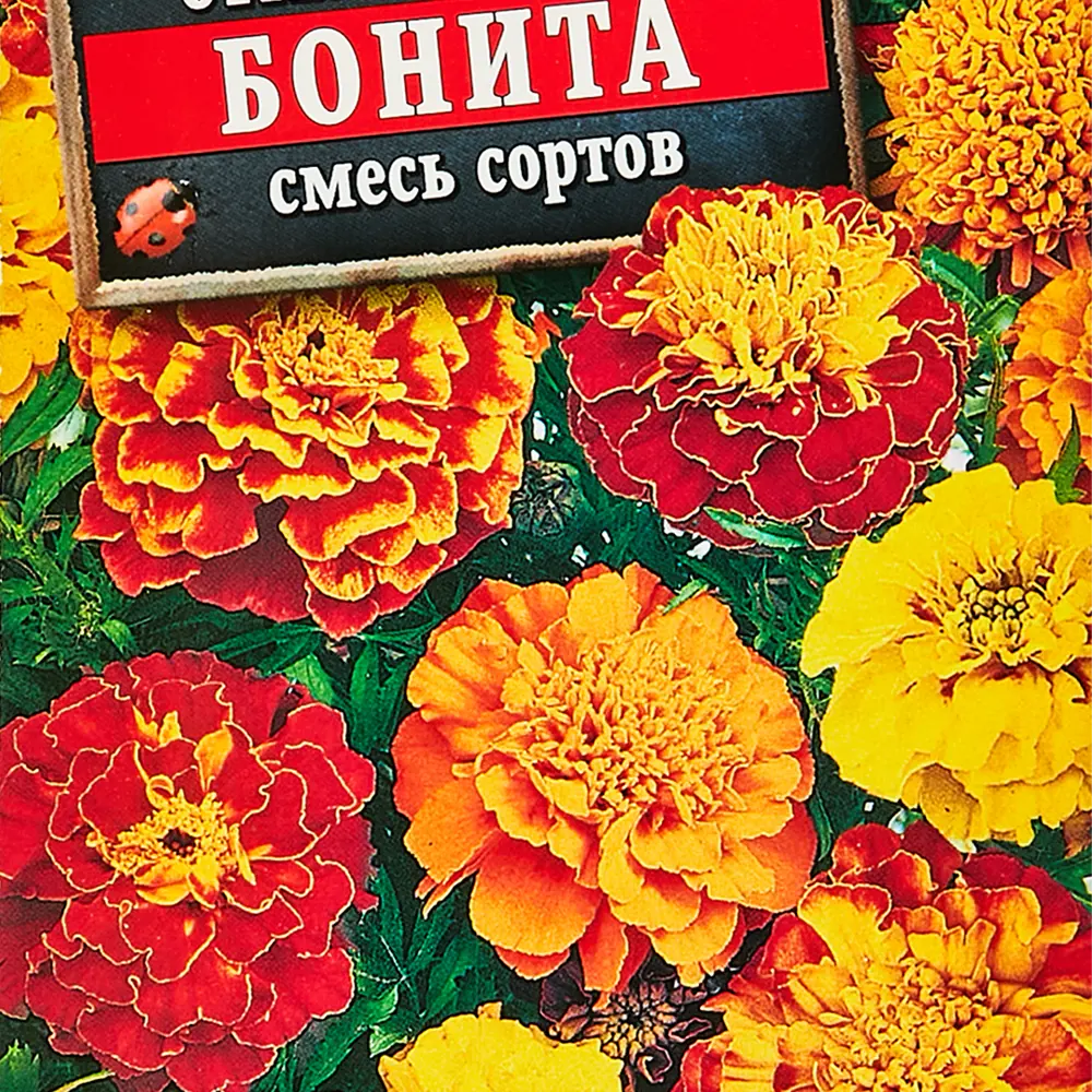 Бархатцы отклоненные Orange Sofia