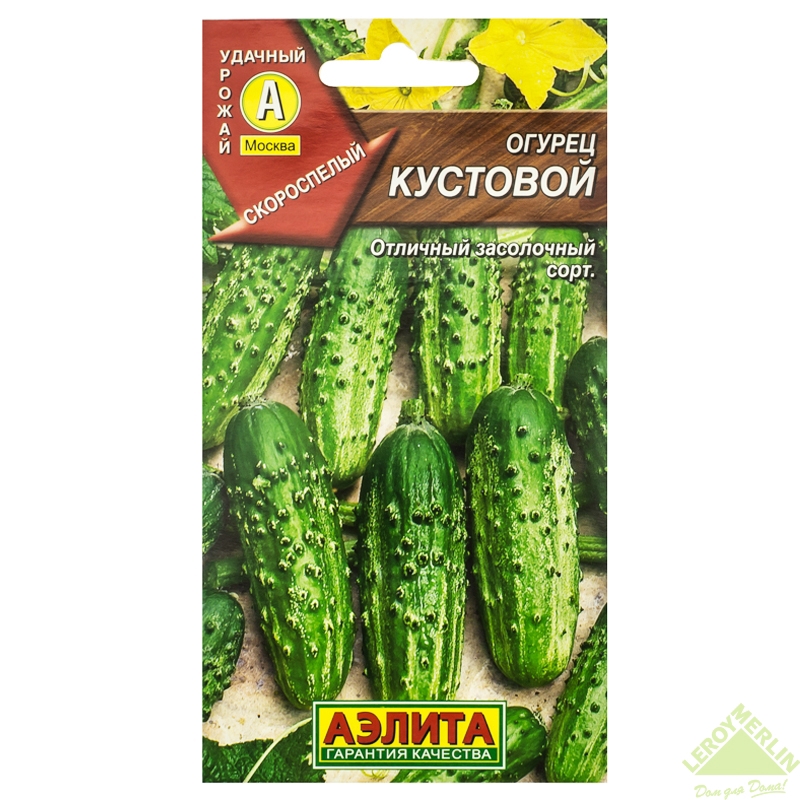 Картинки кустовых огурцов