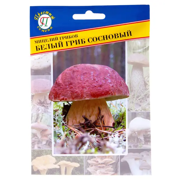 Мицелий грибов Белый гриб Сосновый мицелий грибов престиж шиитаке