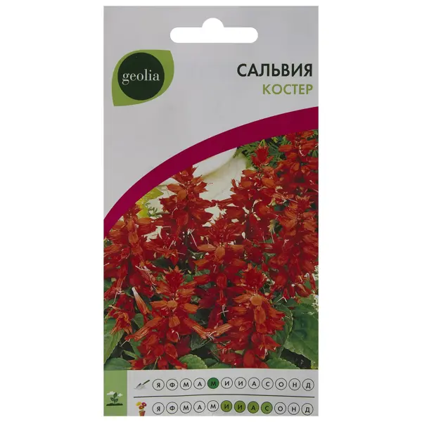 Семена цветов Сальвия Костёр красная Geolia удобрение geolia органоминеральное для цветов 2 кг