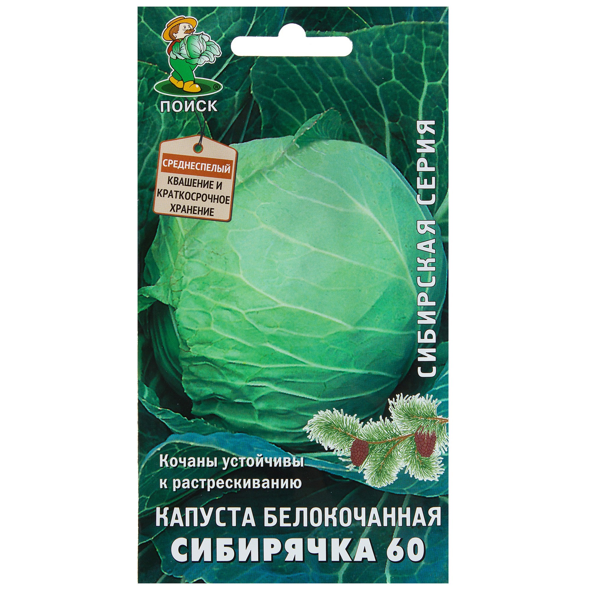 Капуста БК Сибирячка 60 семена для Сибири