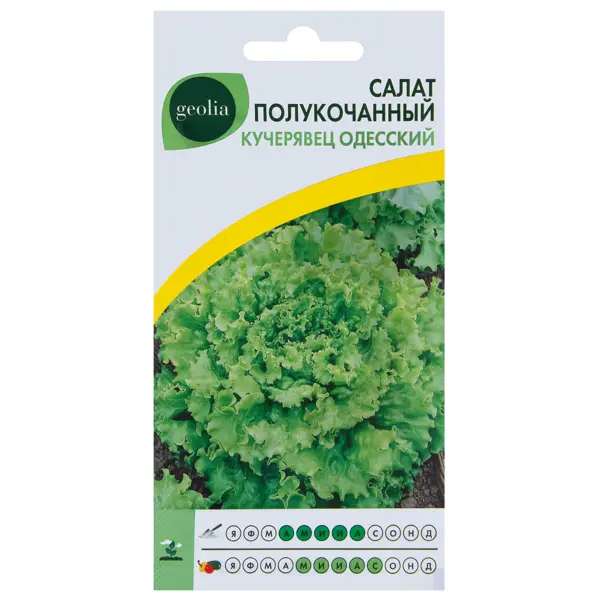 Семена Салат Geolia Кучерявец одесский семена салат парниковый geolia московский