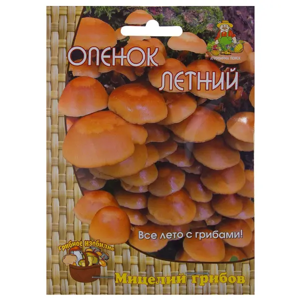 Семена Гриб опёнок летний «Мицелий» на древесном носителе мицелий грибов гриб польский