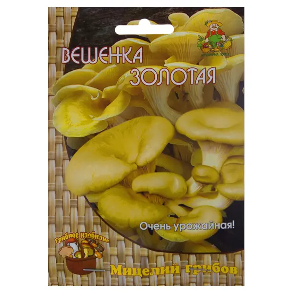 Семена Гриб вёшенка золотая или лимонная «Мицелий» на древесном носителе семена гриб опёнок летний мицелий на древесном носителе