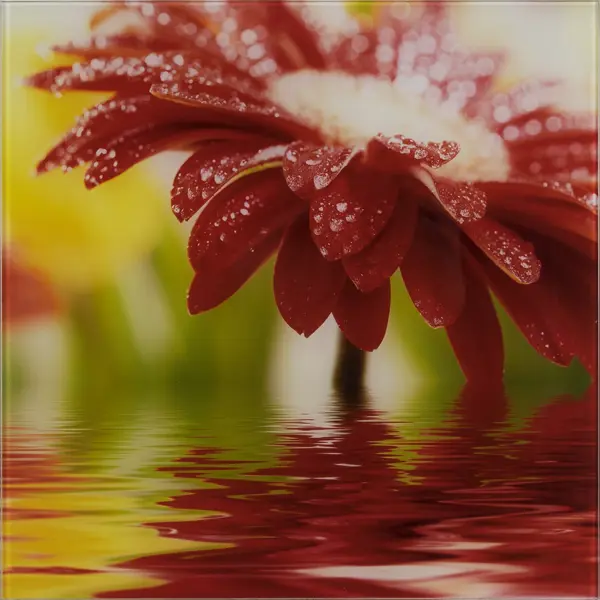Картина на стекле 30х30 см «Red flower» 27737524 картина на стекле 30х30 см японская вишня