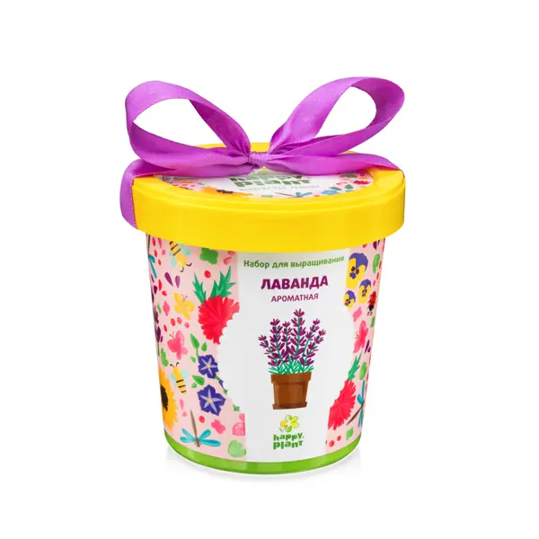 Горшок «Лаванда ароматная» japanese gift box набор для ароматерапии