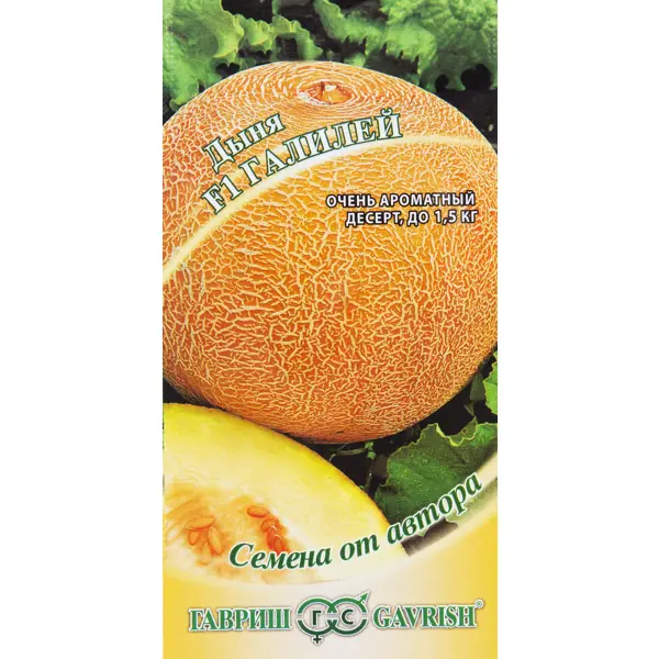 Семена Дыня «Галилей» F1 семена овощей дыня апельсинка 10 шт