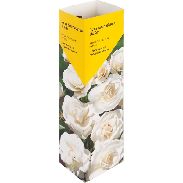 Роза«Флорибунда» эконом, в ассортименте клематис в ассортименте h37 см