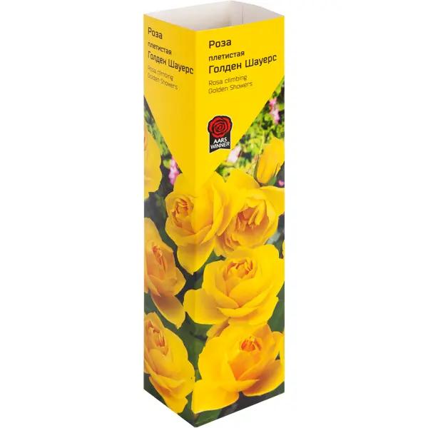 Роза «Плетистая» эконом спрей в ассортименте роза плетистая микс ø10 h17 см