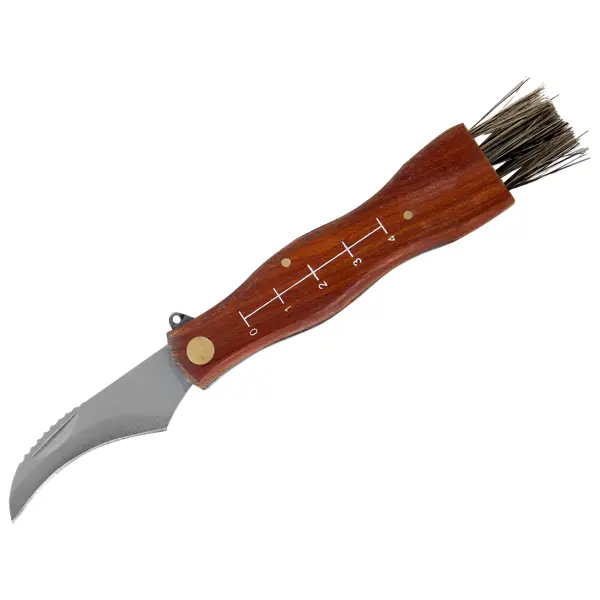 Нож грибника малый, деревянная рукоятка нож кухонный доляна поварская тройка лезвие 25 5 см деревянная ручка