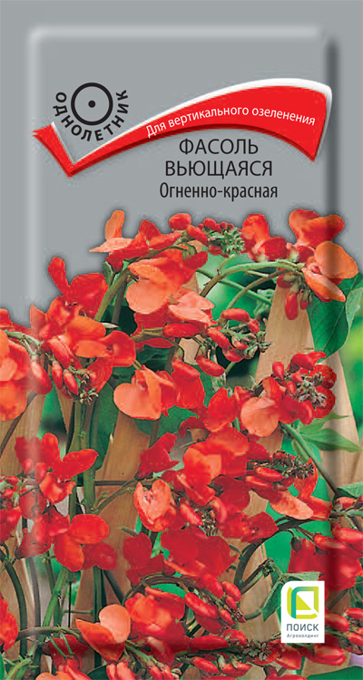 Семена Фасоль вьющаяся однолетняя «Огненно-красная», 1 г - купить в вСанкт-Петербурге по низкой цене