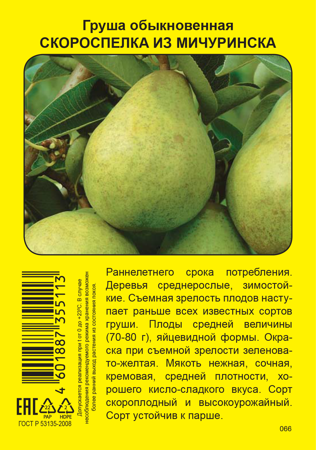 Груша «Скороспелка из Мичуринска» ✳️ купить по цене 248 ₽/шт. в  Екатеринбурге с доставкой в интернет-магазине Леруа Мерлен