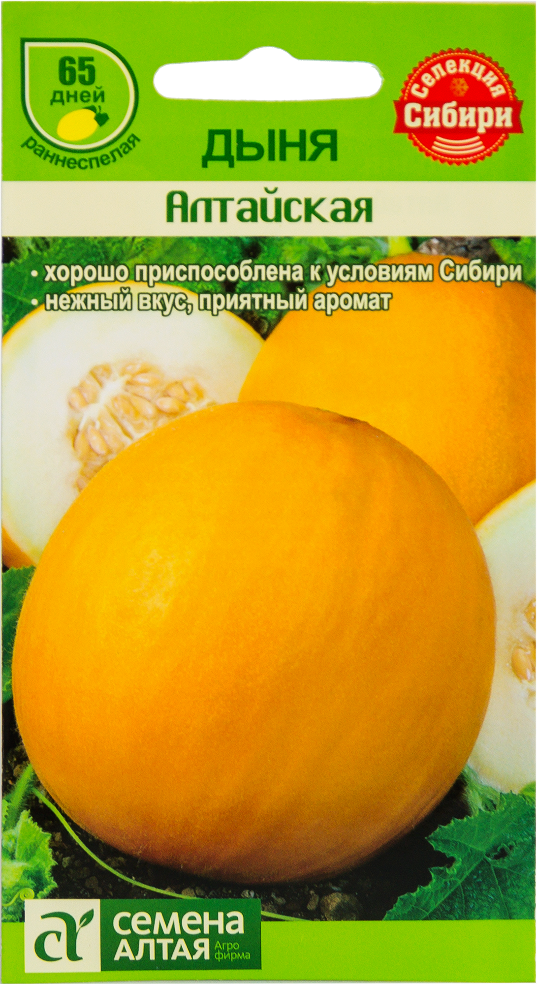 Сорт дыни алтайская описание отзывы. Дыня Алтайская. Семена Алтая дыня. Семена дыня Алтайская. Дыни от семена Алтая.