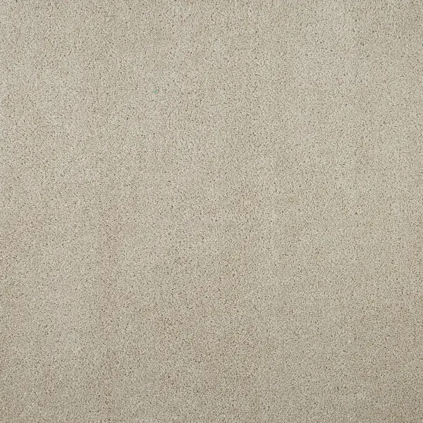 фото Ковровое покрытие «флорида», 3.5 м, цвет белый зартекс