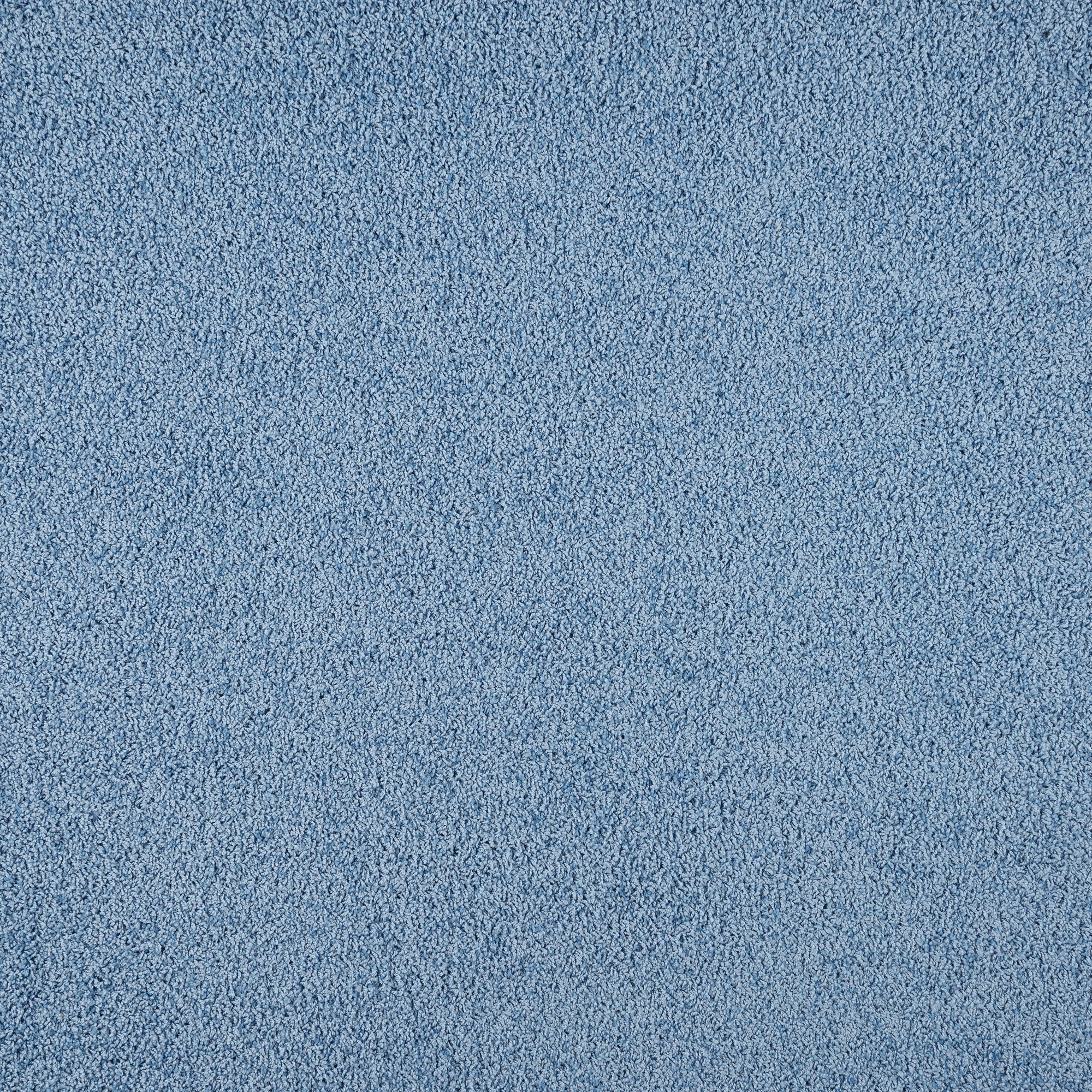 Ковровое покрытие «Глория», 3 м, цвет голубой по цене 800 ₽/м² купить в  Кемерове в интернет-магазине Леруа Мерлен