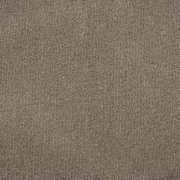 фото Ковровое покрытие «колибри», 4 м, цвет светло-коричневый зартекс