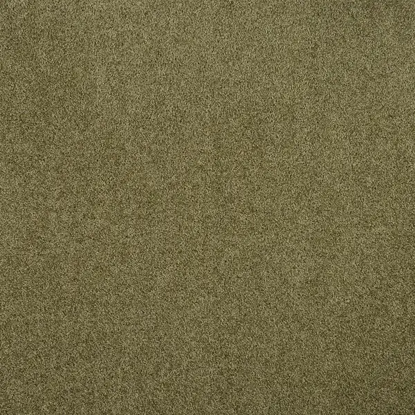 фото Ковровое покрытие «флорида», 3.5 м, цвет светло-оливковый зартекс