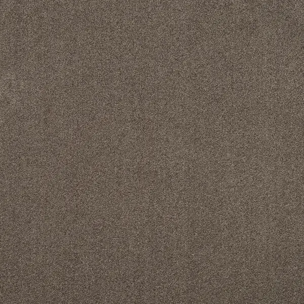фото Ковровое покрытие ворсистое «парадиз 570» ворсовое 3 м цвет капучино зартекс