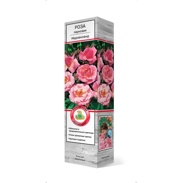 Роза парковые «Мархенланд» ы искусственные роза кустовая 67 см ярко розовый