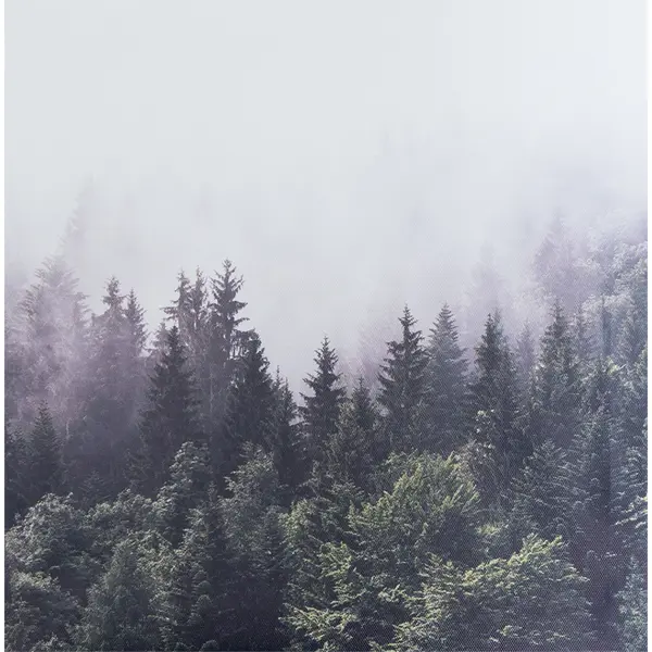 Картина на холсте «Туманный лес» 30x30 см картина на холсте горный пейзаж 30x30 см