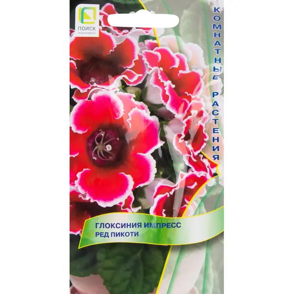 Глоксиния Импресс «Ред Пикоти» красивоцветущие комнатные растения