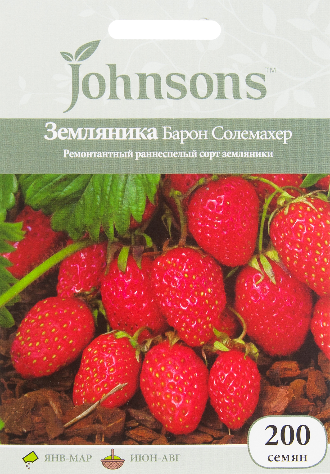 Семена земляника барон. Земляника ремонтантная Барон Солемахер. Семена земляники Барон Солемахер. Ремонтантная земляника Бейрон. Земляника Барон Солемахер Аэлита.