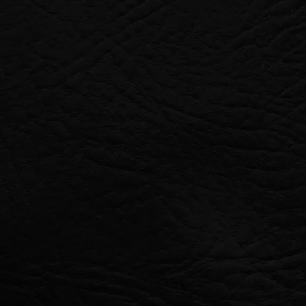 Комплект обивки для дверей цвет черный комплект для обивки дверей 110 × 205 см иск кожа ватин 5 мм гвозди струна микс