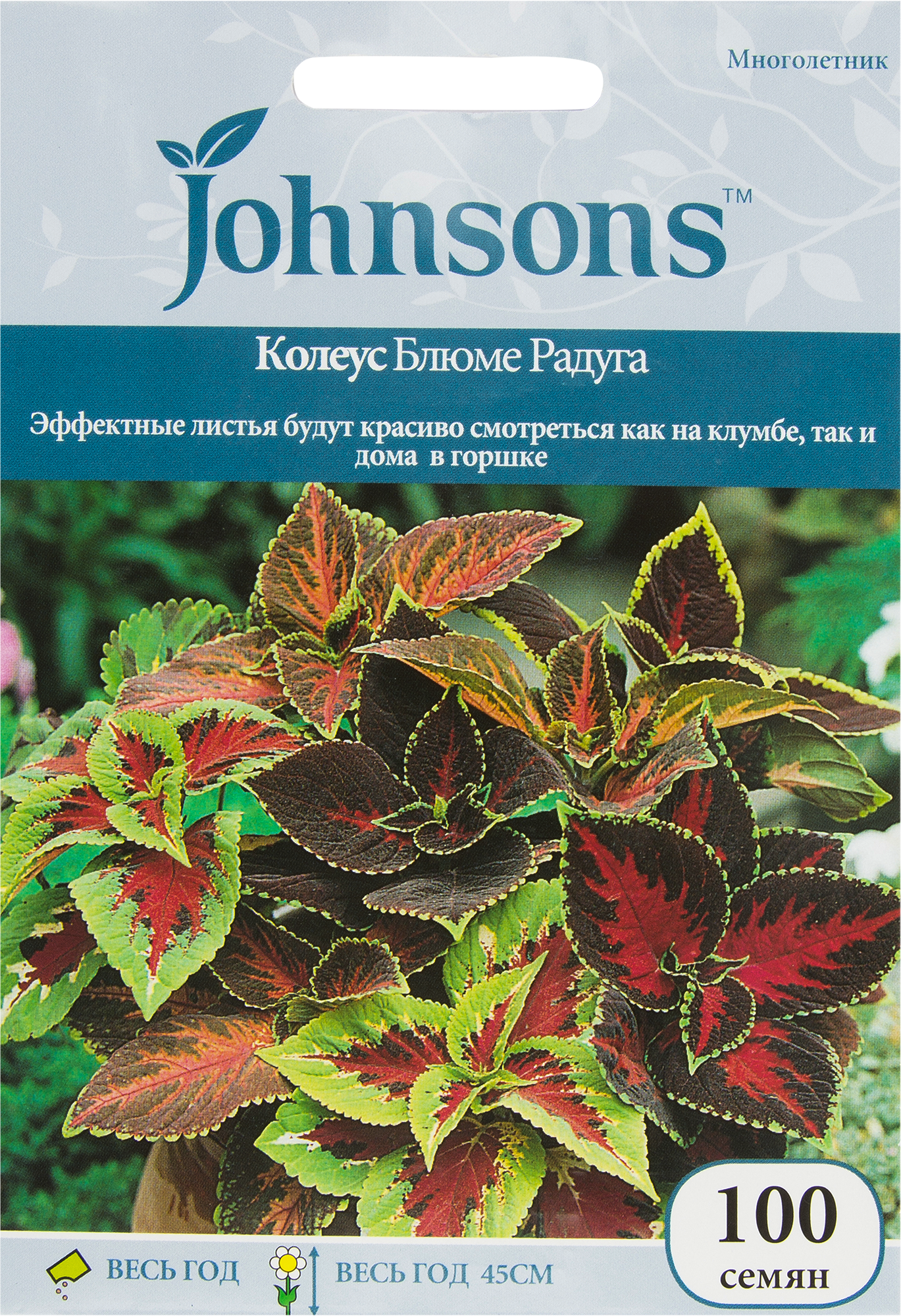 Колеус Блюме «Радуга» 100 шт. – купить с доставкой в Екатеринбурге | Низкие  цены в интернет-магазине Леруа Мерлен