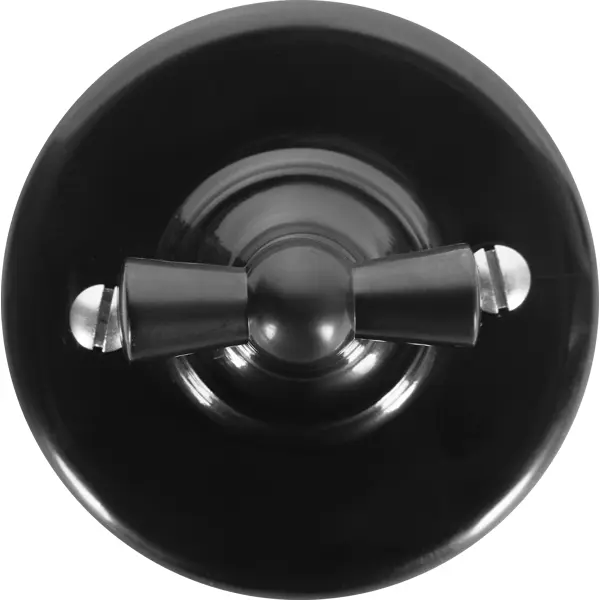 Выключатель накладной Electraline Bironi Ретро 2 положения цвет чёрный выключатель electraline двухклавишный коричневый
