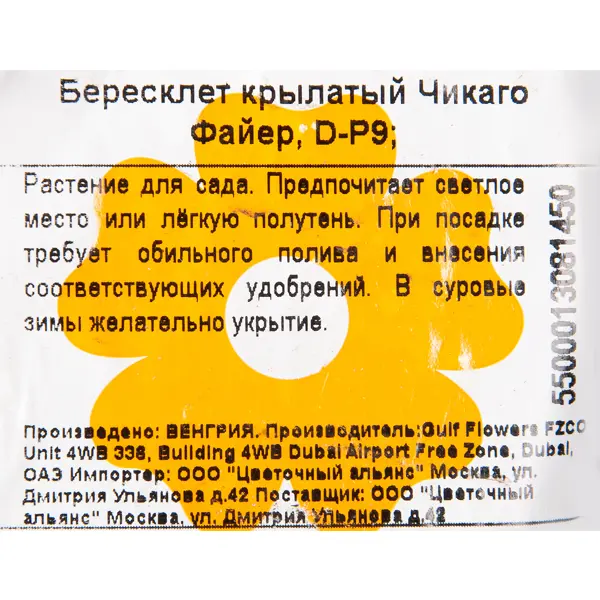 Бересклет крылатый Чикаго Файе, P9 в Москве – купить по низкой цене в интернет-магазине Леруа Мерлен