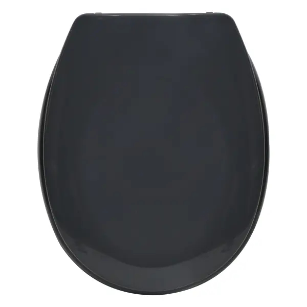Сиденье для унитаза Sensea Sparta с микролифтом цвет тёмно-серый сиденье для унитаза sensea purity овальное тёмный орех