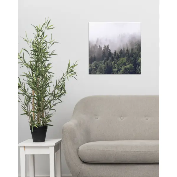 фото Картина на холсте «туманный лес» 30x30 см без бренда