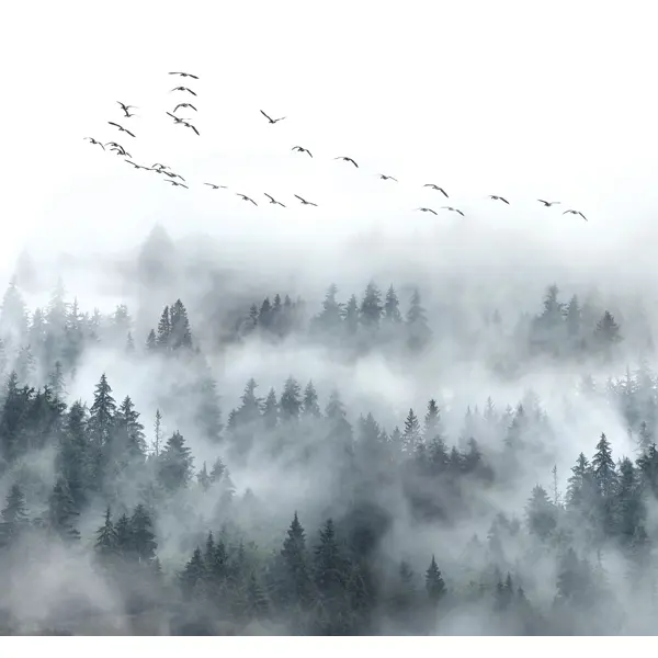 фото Фотообои «‎в густом тумане»‎ 3d флизелиновые 300х270 см l13-125 fbrush