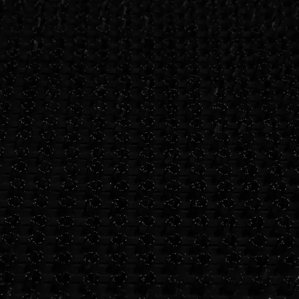 фото Коврик щетинистый 45х60 см полипропилен цвет черный без бренда