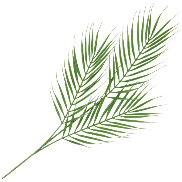 Ветка декоративная Пальма 60 см цвет зелёный ветка декоративная воздушные перья 84x8 см