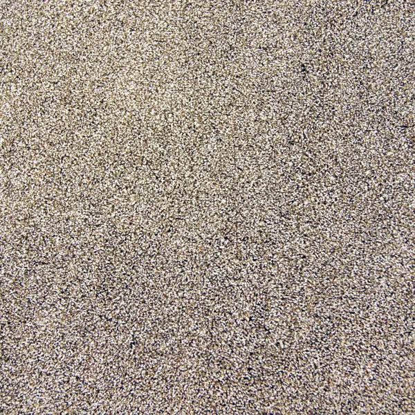 фото Ковровое покрытие «равенна», 3 м, цвет серый/бежевый зартекс