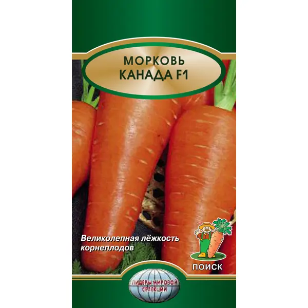 Семена Морковь Канада F1 Поиск семена морковь курода шантенэ