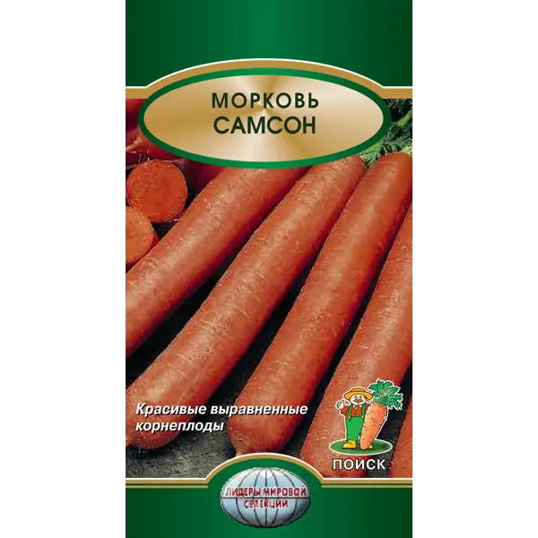 Семена Морковь Самсон Поиск семена морковь император авторские сорта поиск