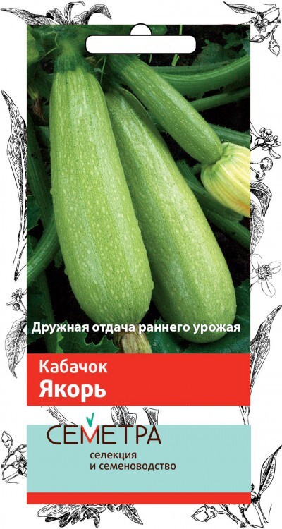 Семена Кабачок «Якорь» в Москве – купить по низкой цене в интернет-магазинеЛеруа Мерлен