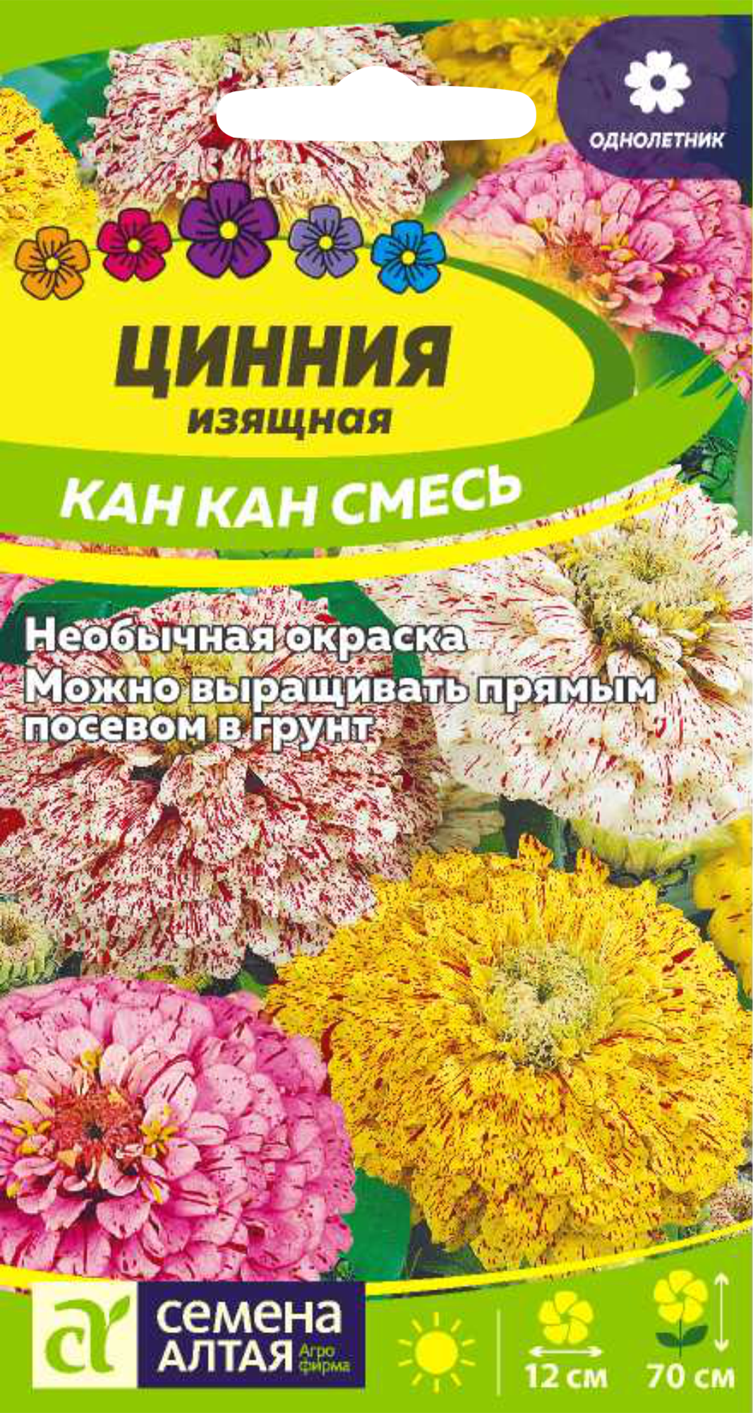 Цинния Кан Кан