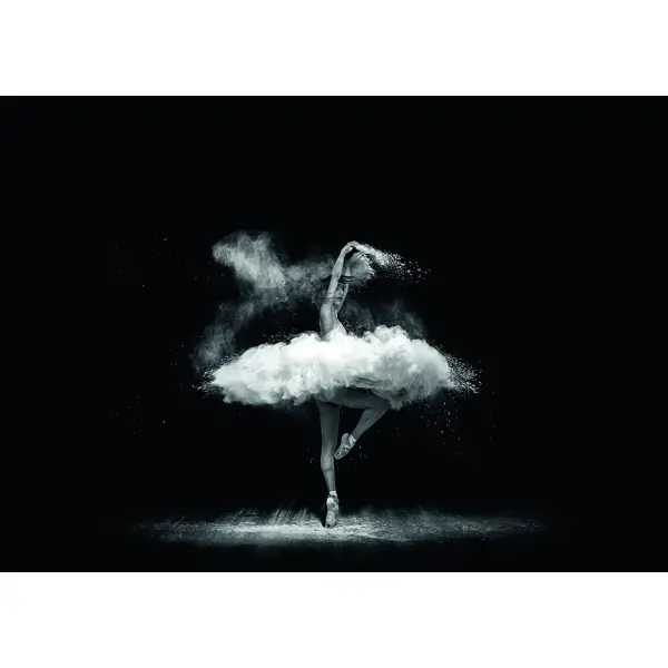 Постер «Балерина» 50x70 см постер арт дизайн флюиды 21x29 7 см 2 шт