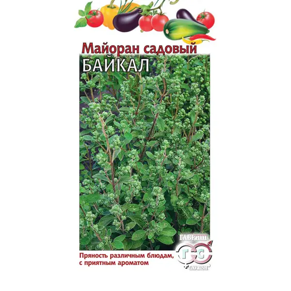 Семена Майоран садовый Байкал садовый измельчитель зеленой массы stihl ghe 135 0 l 60130111126