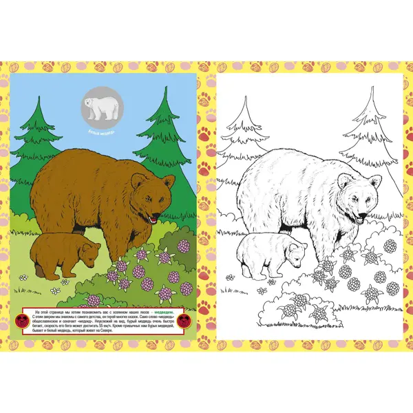 Раскраска к сказке Три медведя